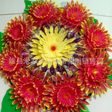 50�������˾ջ��h ��ȦĹ�������P �����������ω����\�Z������Ʒ