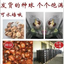 �M��������N��ѿ5����ˮ�����B�����҃�����ֲ���_���N���ͺ�