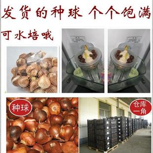 �M��������N��ѿ5����ˮ�����B�����҃�����ֲ���_���N���ͺ�