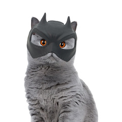 楽しい新しい犬バット猫スパイダーマンマスク TK かわいいペット楽しいパロディーマーベルハロウィン