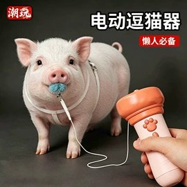 戏水玩具;泡泡玩具;惯性回力玩具