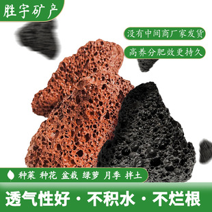 �S�L���]��ɽʯ�w�� ����Nֲ ��� ���������^�V�V���׵V��