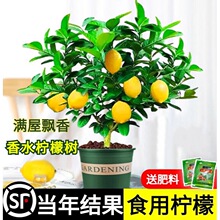 ��ˮ���ʘ���ˮ�����Կ�ʳ�Ý�����ú��B�̨�ļ������҃ȾGֲ��