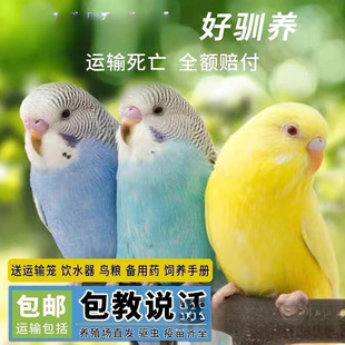 �S��ֱ�N�S��ֱ�N�W�^���B���ﻢƤ�W�^���fԒ���B�����B녰�С��