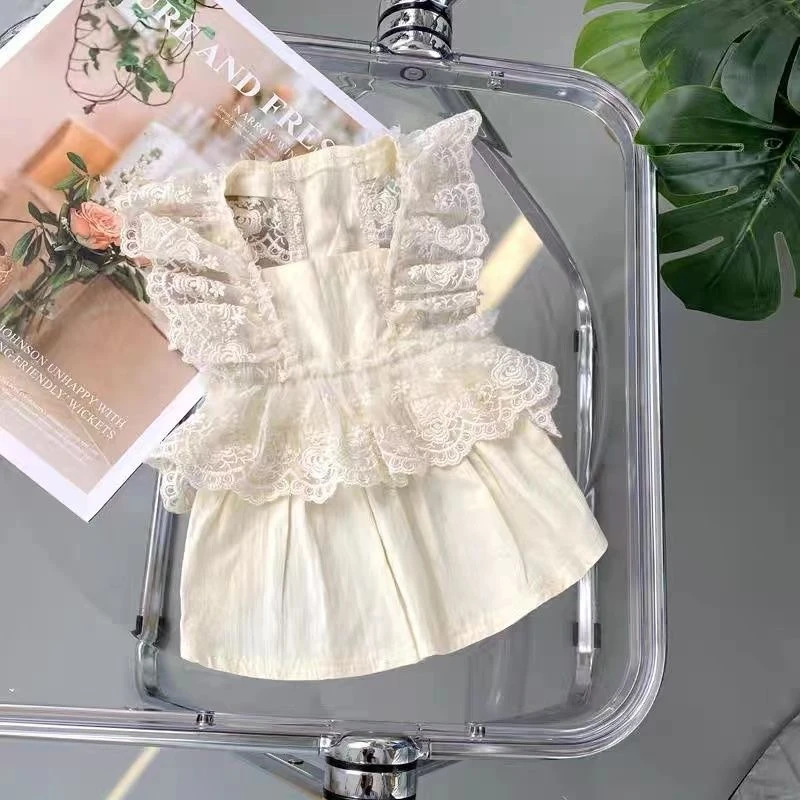 Vestido Cachorro Verano Primavera Otoño Ropa Mascota Perros Pequeños Teddy Bichón Pomerania Taza de Té Perro Gato Estilo Delgado_voghion.com