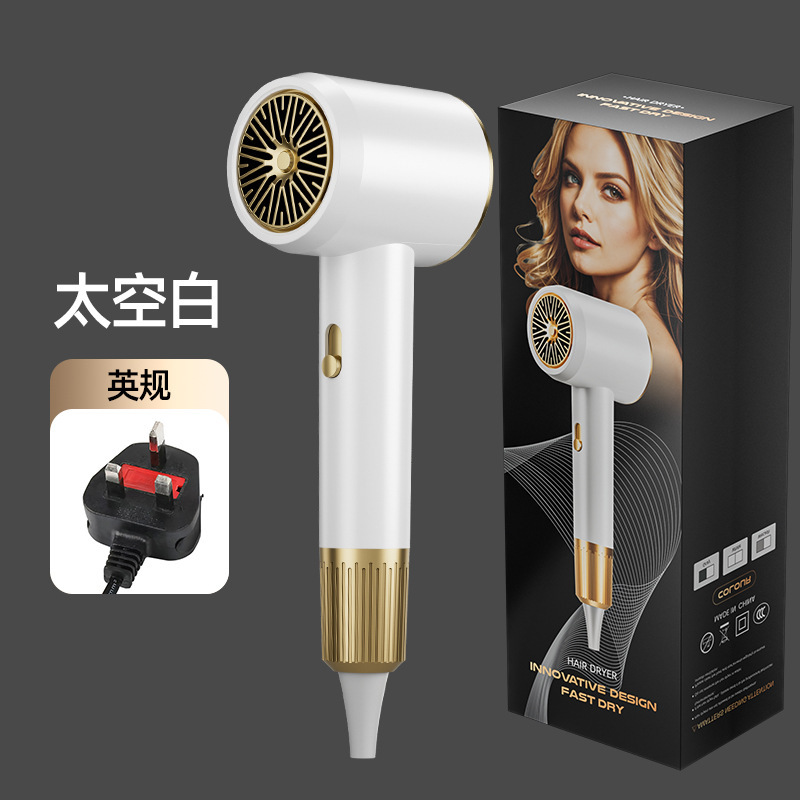 クロスボーダー高速ヘアドライヤー家庭用ヘアサロン電気ヘアドライヤーハイパワーマイナスイオンヘアドライヤーメーカー直販|undefined