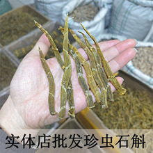 ���w�����l������xʯ���l���xʯ���ɗl�FƤʯ��