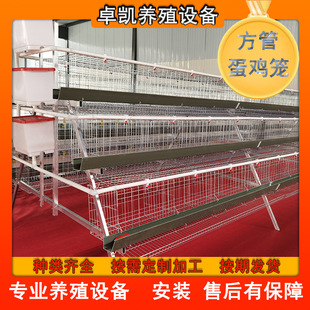 �Bֳ����������әCе�Č��A���u�\����\�����u�ᰲ�b�G������
