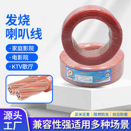 跨境全铜包铝环绕发热软音箱线广播系统扬声器功放音响连接线定制