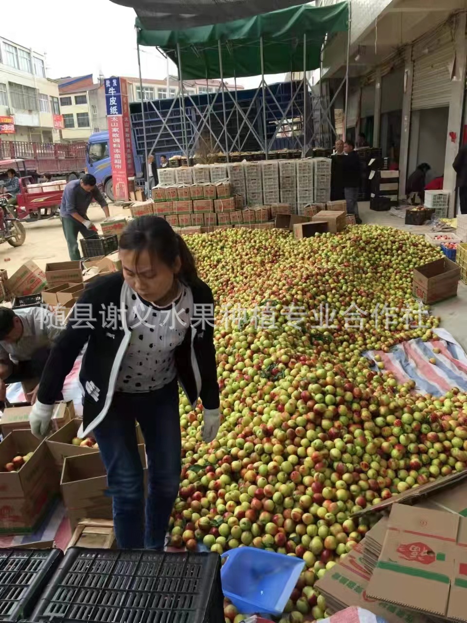 19ca530afb61e281fee5854687b5d1