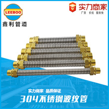 304���P䓲��y�� �͉��ߜؿ��{ͨ�L�C�P���S�~�^����ܛ�B��