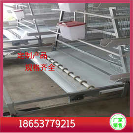 河南清粪机带式输送带批发 肉鸡清粪带 鸡粪清粪带图片