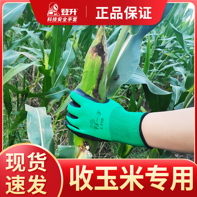 Guantes especiales para la recolección de maíz guantes de rotura de maíz antideslizante transpirable jardín maíz recogiendo guantes secos de granja