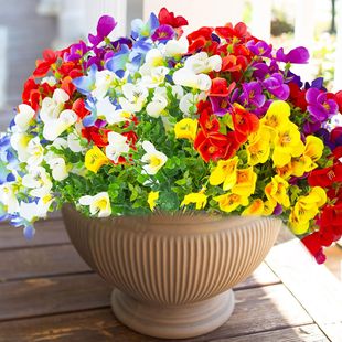 �羳���R�d ���滨�ȼ�����ɫ��7������������m�Ҿӻ��@��Y�b�