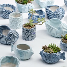 ���₀���д�̖�ڏ�Ĵָ����ÿ�������ֲ�ﻨ���մɰ��]