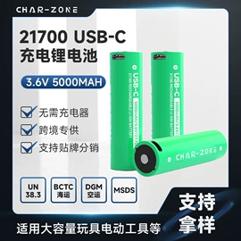 充电电池;电池充电器;镍氢电池