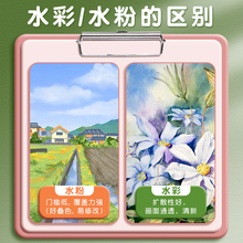 ˮ��ˮ�ۮ�������b���߮������W�߃�ͯ24ɫ�׃��@С�W���L��