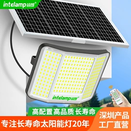 太阳能灯;庭院灯;道路照明灯