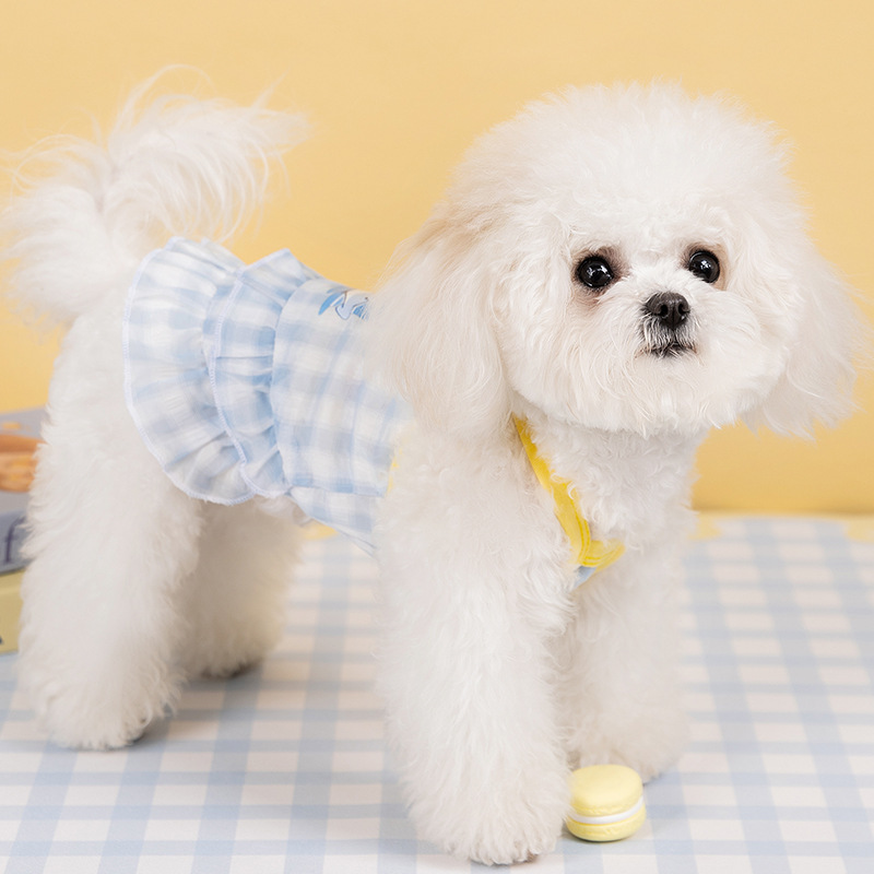 Primavera y verano perros lindos dibujos animados perros pequeños y medianos falda de caballo gato dos pies vestido de mascotas ropa de perro