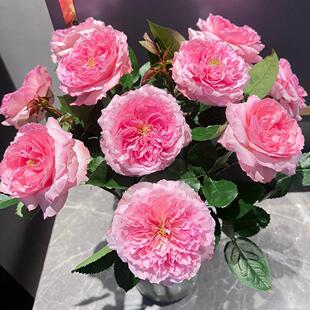 ��÷���¼������_���������õ�廨���Ի���ֲ�����Gֲ