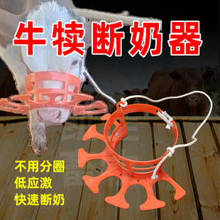 �¿�ţ���Ӕ�������Сţ��ţ���̺���һ�w�Î����{��Сţ������