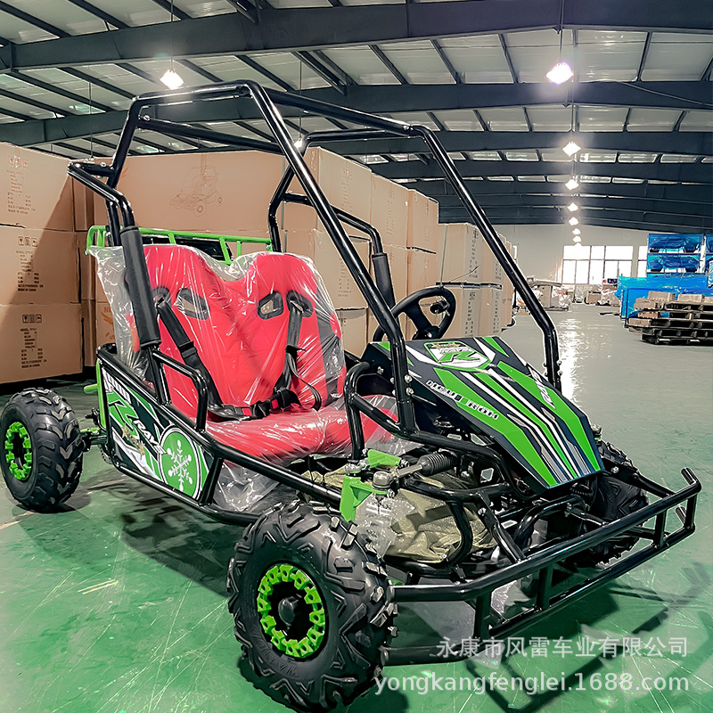 Kart Eléctrico Familiar 48V 500W Todoterreno de Hierro y Plástico