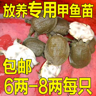 1-9�ɶ��� �r��С���~��С���A�M��F�~�����Bֳ���B���B���