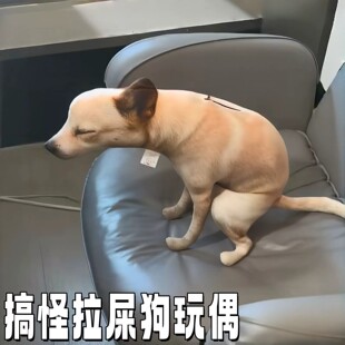 ����ʺ������ʺ����ë�q��Ȥ���������ͱ����ɐۼҾӔ[����ż���