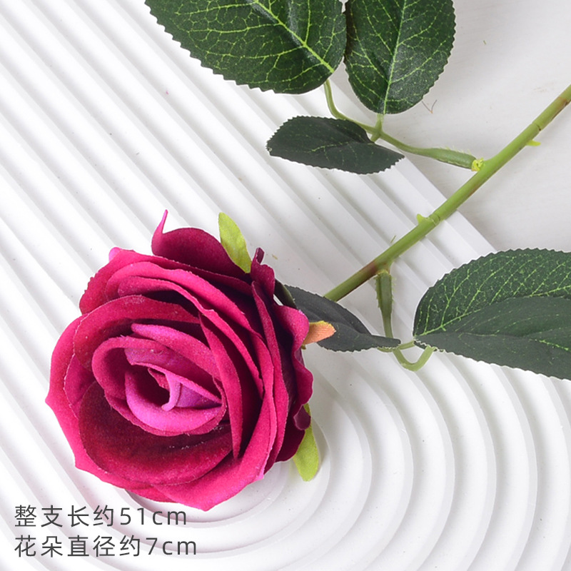 珍珠玫玫红（绒布版）