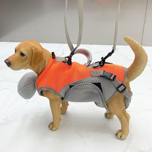 New Cross-Border Pet Bag, Portable Backpack, Cat Handbag, Traction Cat Clothes, Small Dog Backpack