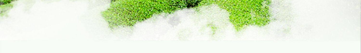 Jasmine Tea Mo Li Hua Cha Strong Fragrance Loose Green Tea with Jasmine Blossoms 750g Bag overview