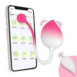 震动棒;情趣跳蛋;女用穿戴