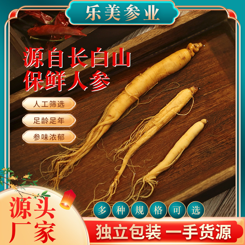 长白山鲜人参袋装泡酒煲汤参东北特产足龄保鲜参人参整根分销批发