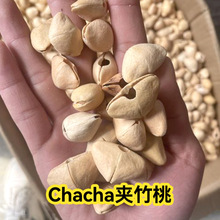 ӡ��A���ҹ����L�diyֲ���Ϲ����������chacha�������ϰ�