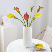 高档仿真花pu手感大号马蹄莲 家居客厅装饰婚庆摄影布置 假花批发