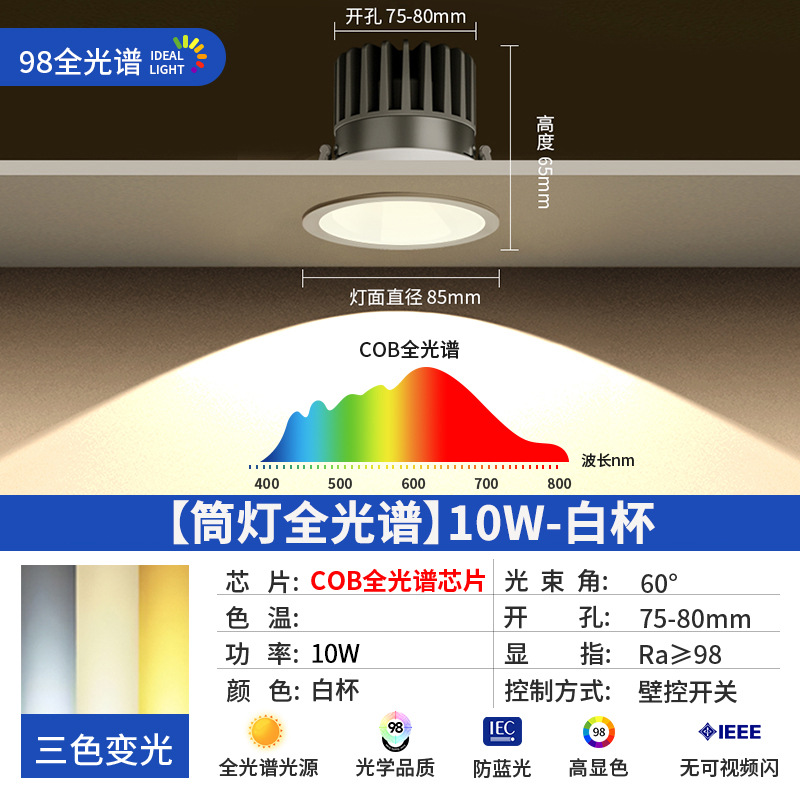 [full spectrum downlight] 10w-white cup