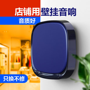 Wireless megaphone for commercial use, wall speakers, bluetooth