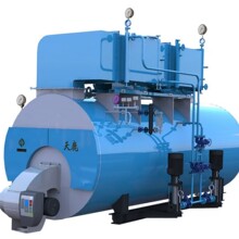 天鹿WNS型低氮蒸汽锅炉全自动电加热节能节能款低氮排放小型