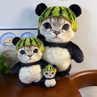 �ɐ�������ë�q���������؈С���Y����ż���жY�����ޱ�����