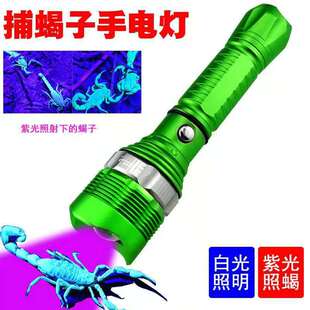 8066�X�Ͻ��������Ͳ�{���Ϲ�����x��LED��������Ϲ����