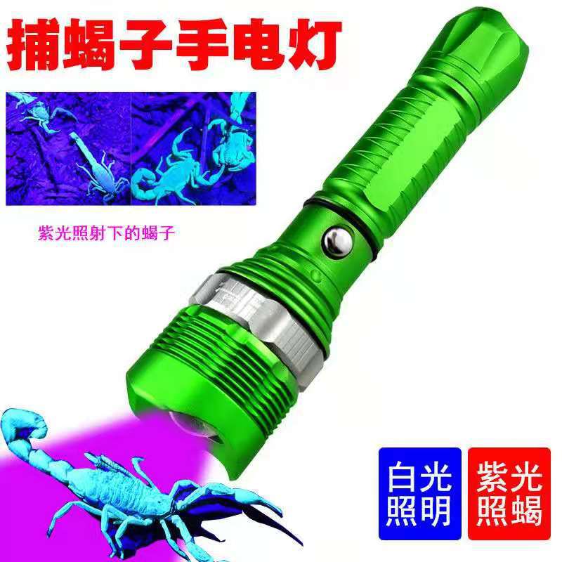 Flashlight