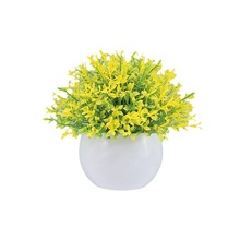 �羳���������҃��쾰�M��С�[���پGֲ�¿����m�������zӰ����