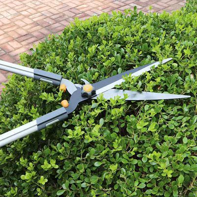 Lawn shears Hedge Trimmer Landscaping Dedicated tool trim Holly scissors Hedge shears gardening Cut flowers