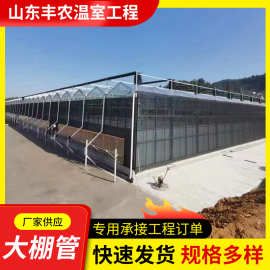 承接连栋温室大棚工程温室 种植蔬菜瓜果农业连动薄膜温室建设