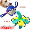 Street interactive frisbee for training, football toy, pet, wholesale, city style