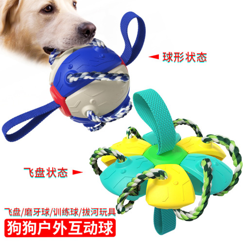 Pet Products Factory Wholesale Company New Amazon Outdoor Training Frisbee Interactive Football Dog Toy