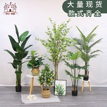 �羳���ͱ��W����ֲ�����˽������҃ȼҾ��b��쾰����Gֲ�ɶ���