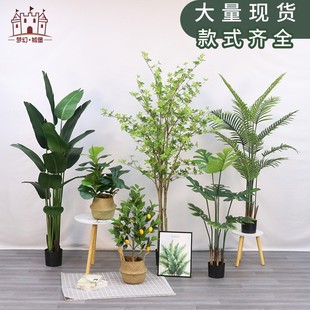 �羳���ͱ��W����ֲ�����˽������҃ȼҾ��b��쾰����Gֲ�ɶ���