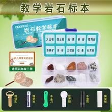 С�W�ƌW���꼉����ʯ�˱��c�Vʯ�˱��������ƌW�n�W����ʯ�^Ʒ