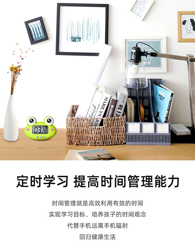 RB600青蛙定时器详情 (8).jpg